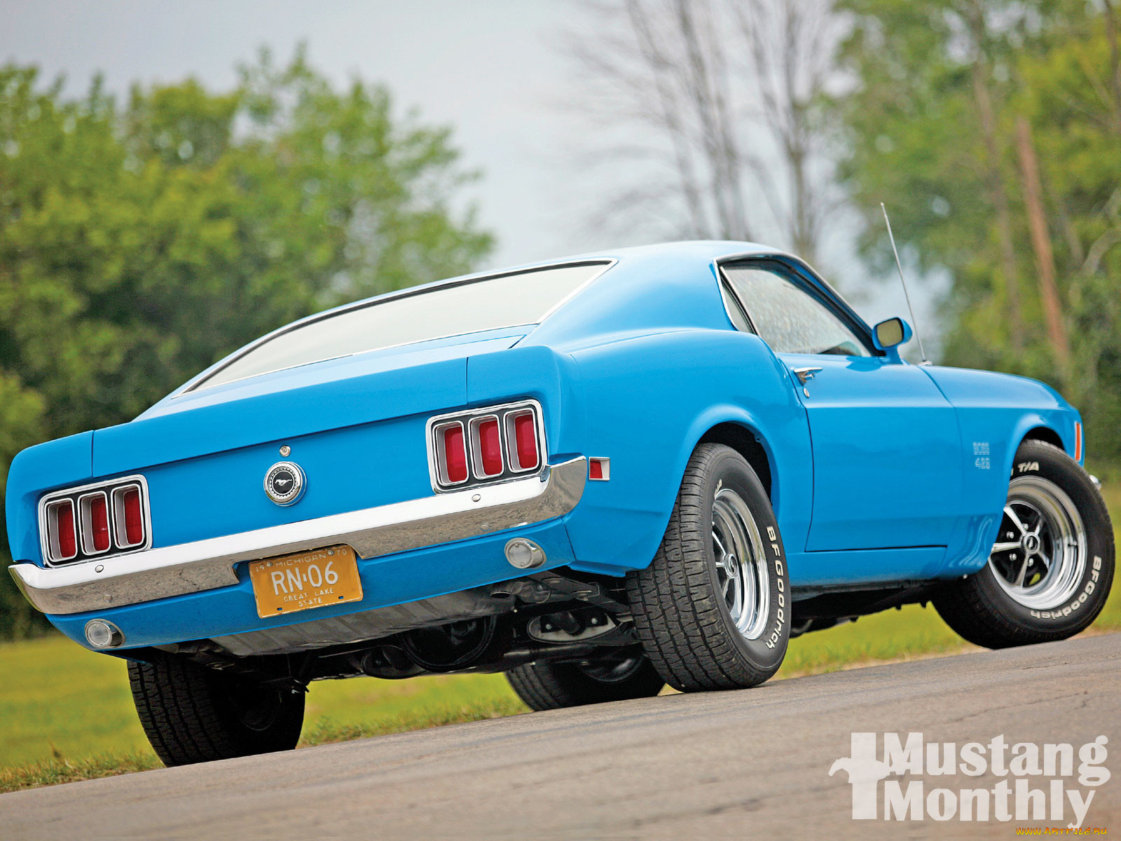 , mustang